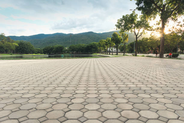 Best Professional Driveway Pavers  in Paris, KY