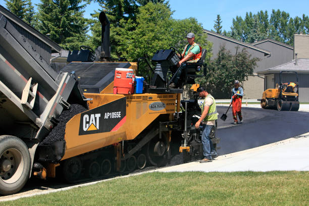 Best Local Driveway Pavers  in Paris, KY